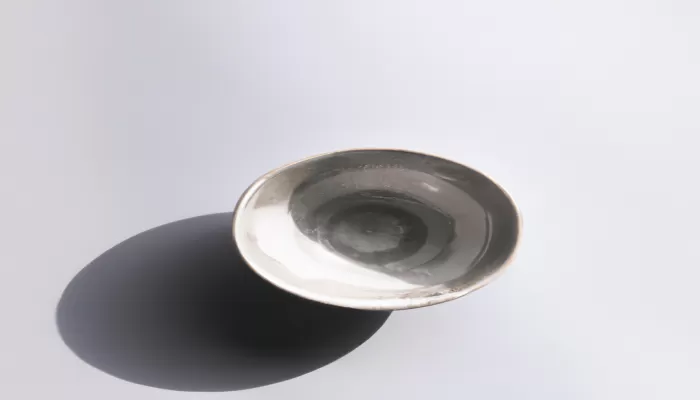 can ceramic bowls go in oven2